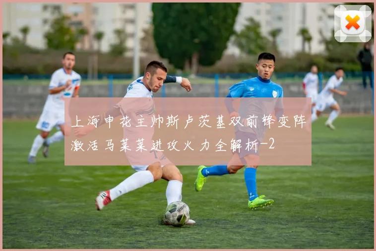 上海申花主帅斯卢茨基双前锋变阵激活马莱莱进攻火力全解析