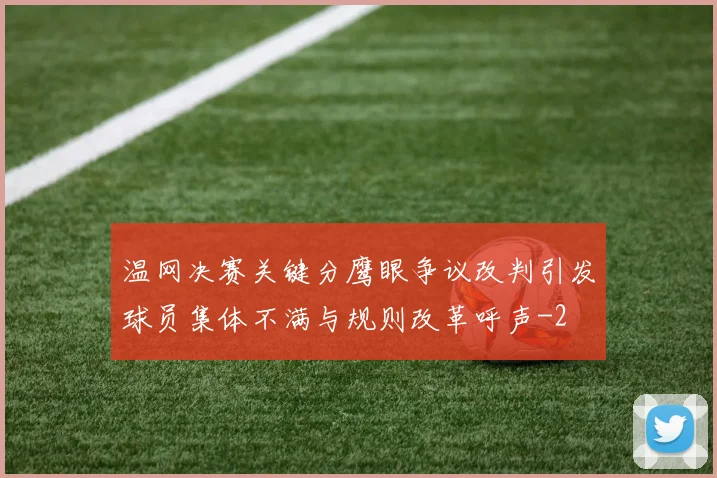 温网决赛关键分鹰眼争议改判引发球员集体不满与规则改革呼声