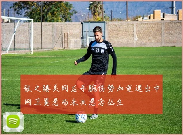 张之臻美网后手腕伤势加重退出中网卫冕悬而未决悬念丛生